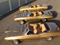 70RAIIIconvgoldcover1.jpg