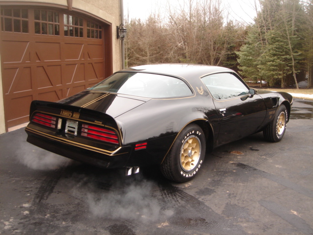 The 1976 Trans Am is one of the up and coming collector cars